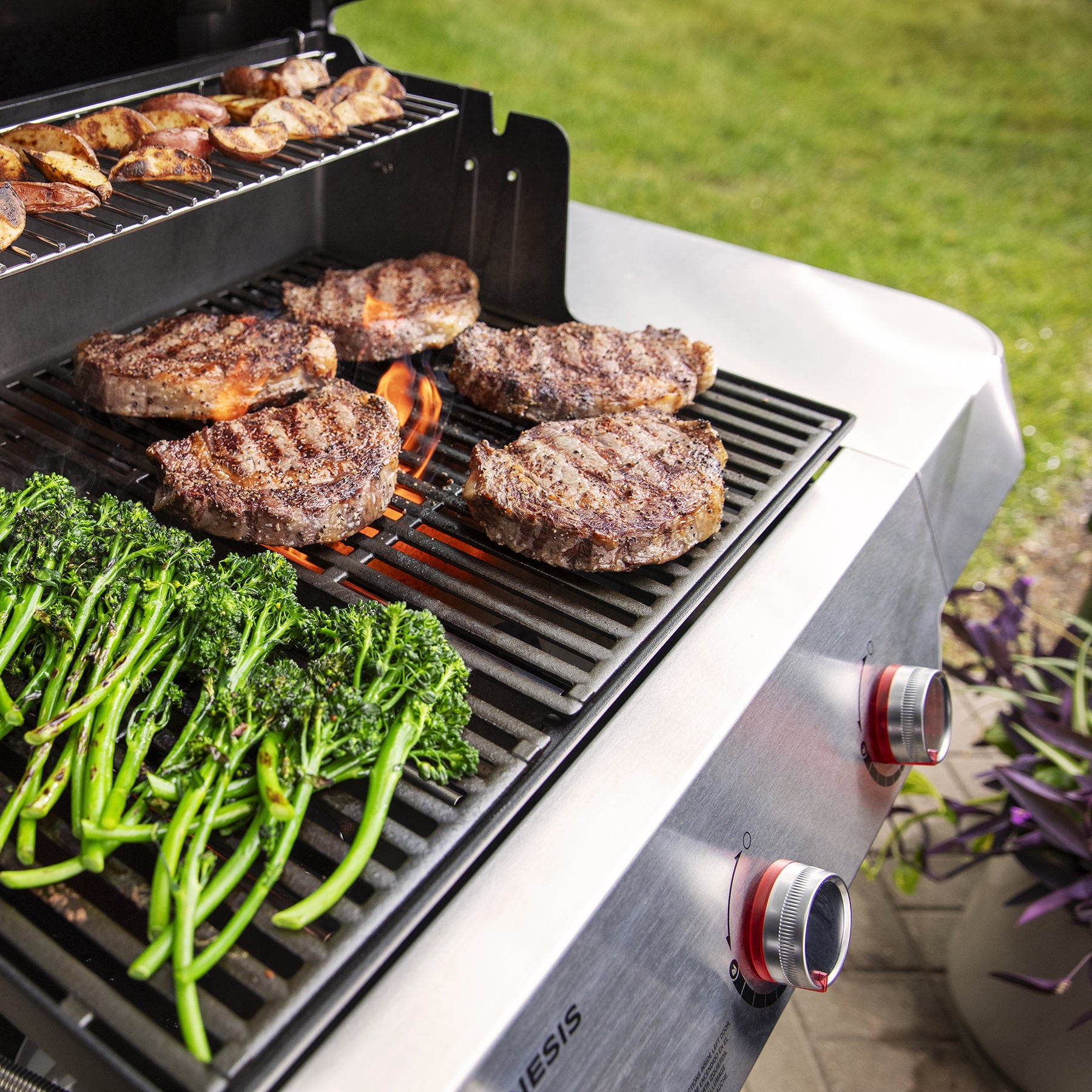 Weber Genesis E-315 Gas Grill, Liquid Propane, Black